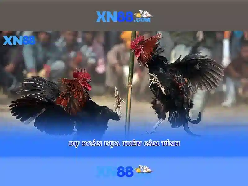 app xn88 com – Trải nghiệm đỉnh cao cùng xn88 nhà cái