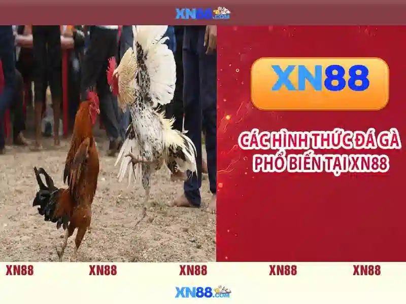 xn88 là gì và cách nó hoạt động