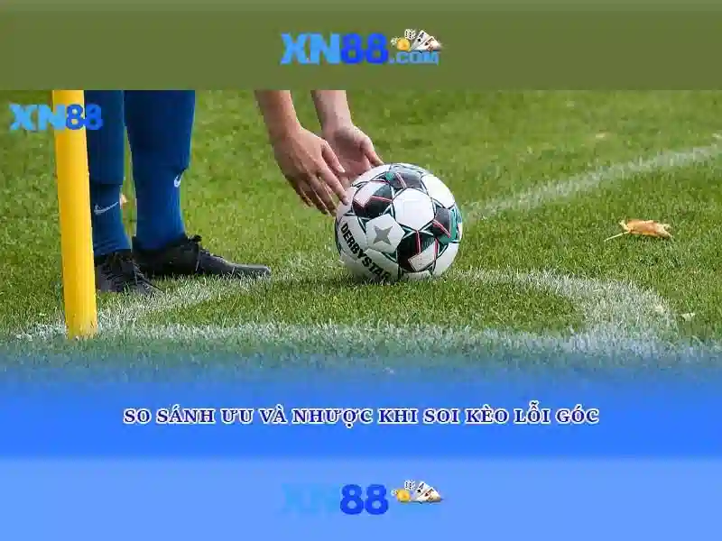xn88. com – Định hình trải nghiệm người dùng và giá trị thương hiệu