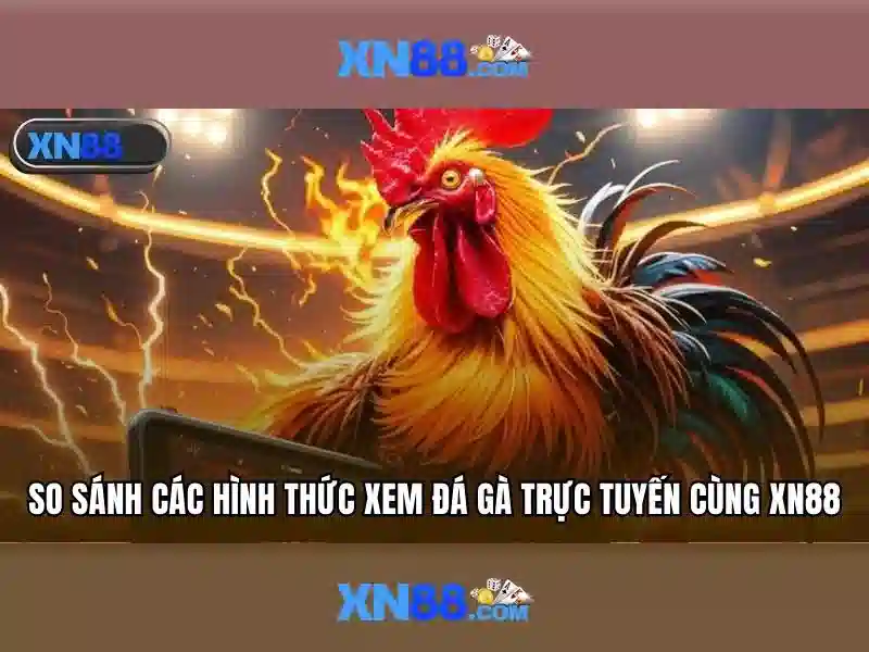xn88: Nền tảng trò chơi và cá cược trực tuyến