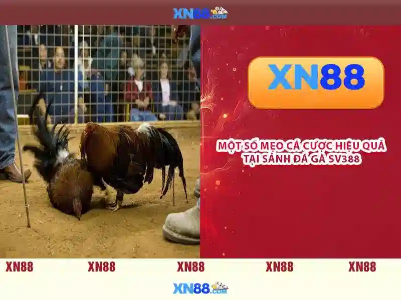 xn88 có uy tín không – Phân tích chất lượng và trải nghiệm người dùng