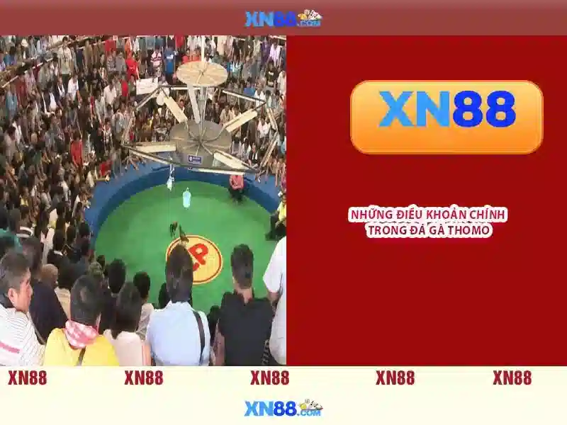 xn88: Tổng quan, đánh giá và hướng dẫn an toàn
