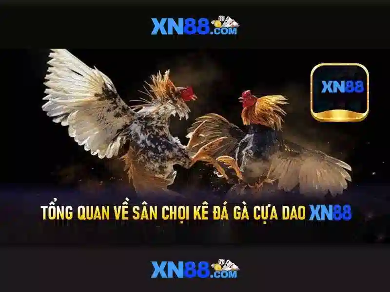 xn88: Nền tảng trò chơi và đánh bạc trực tuyến đáng tin cậy