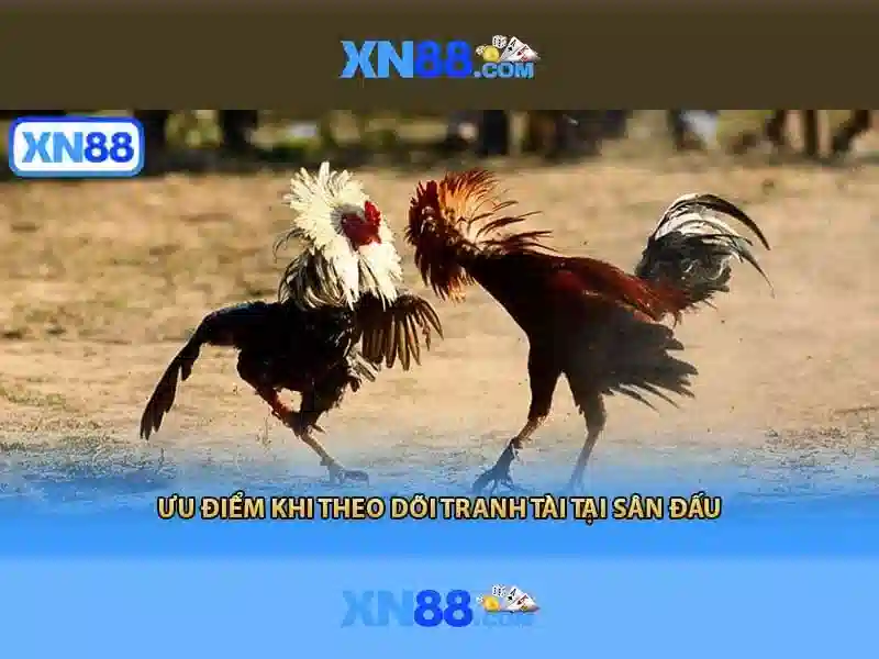 xn88 – Nền tảng giải trí trực tuyến và cá cược