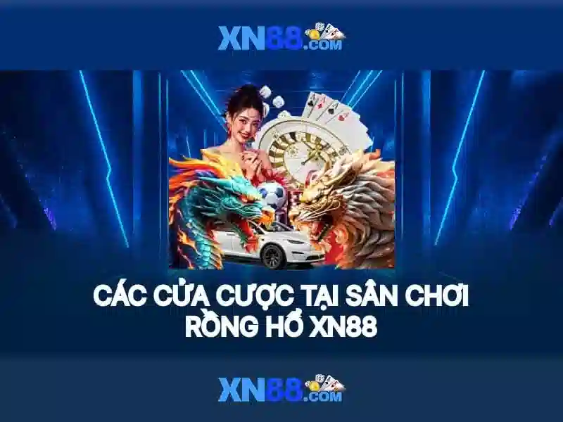 XN88: Đánh giá và hiểu biết về nền tảng cược trực tuyến