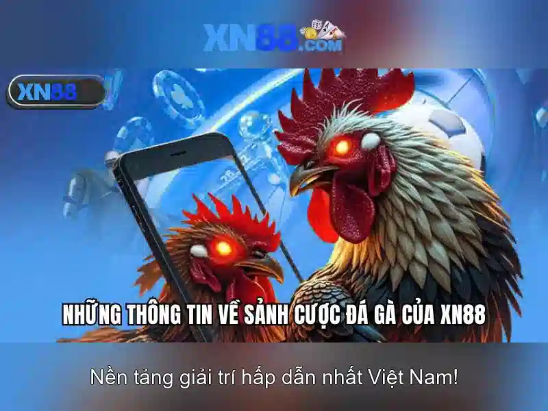 Khái quát về xn88