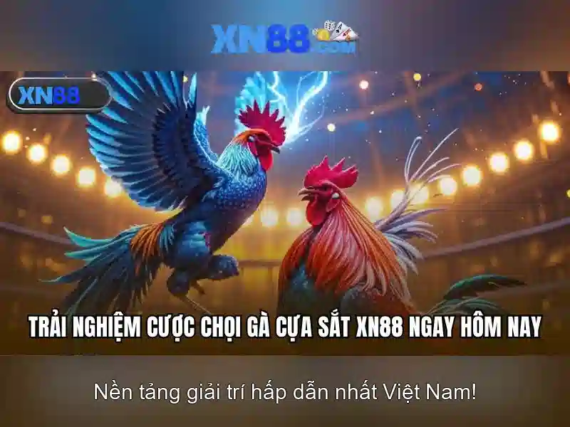 xn88 - Tổng quan về nền tảng game trực tuyến