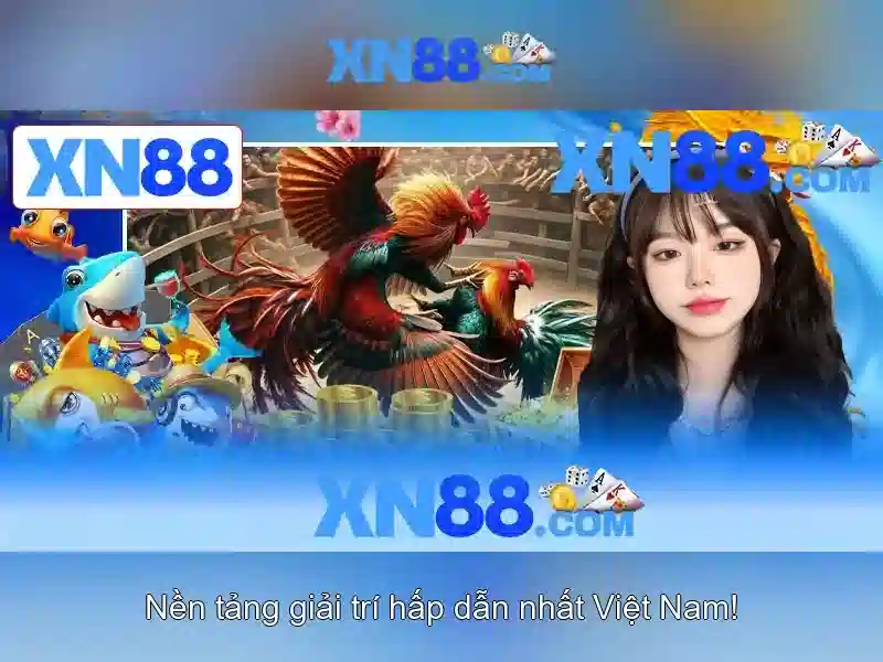 xn88: Tổng quan và đánh giá nền tảng cược trực tuyến