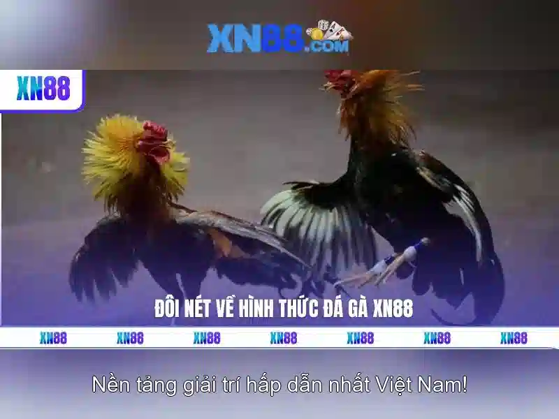 Khám phá xn88: Nền tảng trò chơi trực tuyến