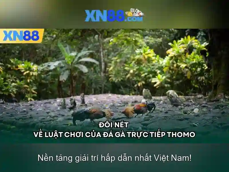 xn88 trong thế giới trực tuyến: Tổng quan và hướng dẫn