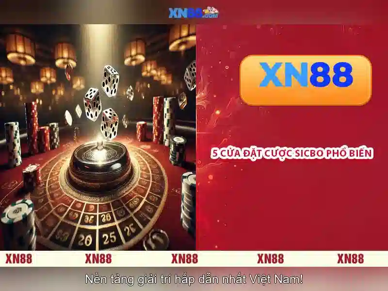 XN88: Giới thiệu về nền tảng cá cược trực tuyến