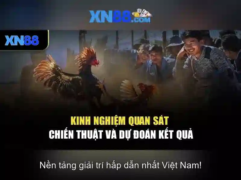 Xn88 - Nền tảng trò chơi trực tuyến và cộng đồng người chơi