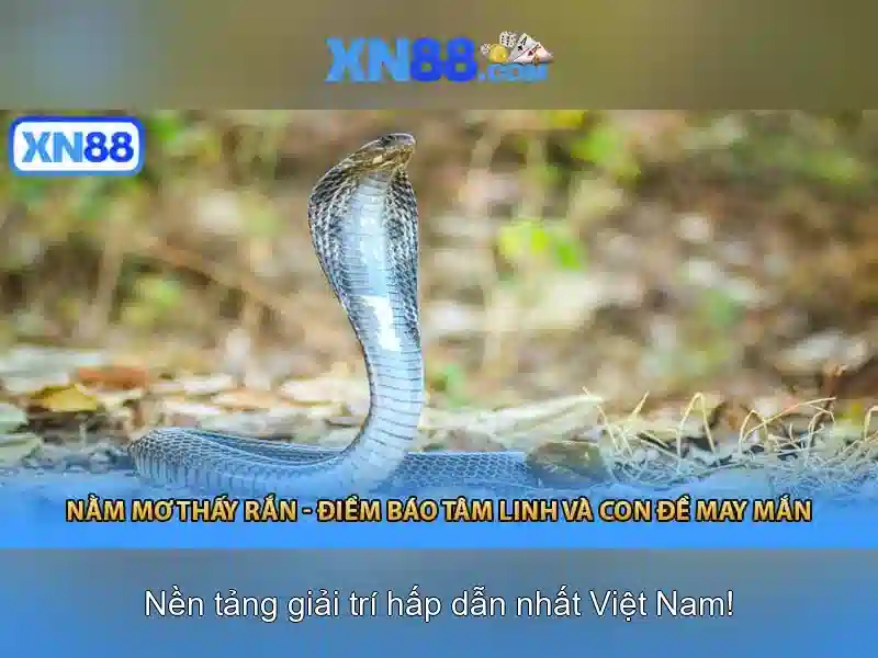 XN88: Nền tảng giải trí trực tuyến