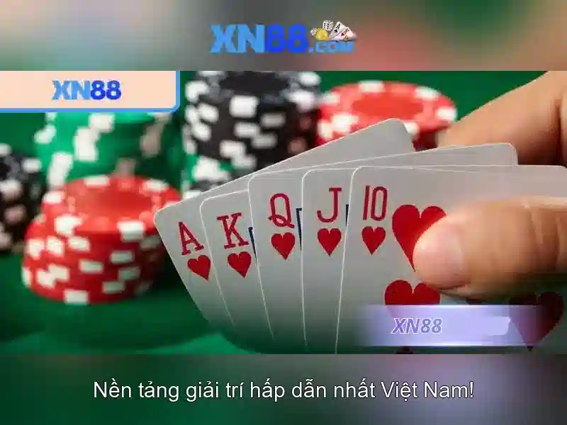 xn88: Tổng quan và hướng dẫn cơ bản
