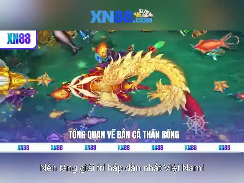 xn88: Đánh giá toàn diện về nền tảng cược trực tuyến