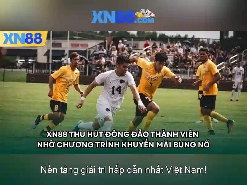 Xn88 là gì? Tổng quan về nền tảng và hoạt động