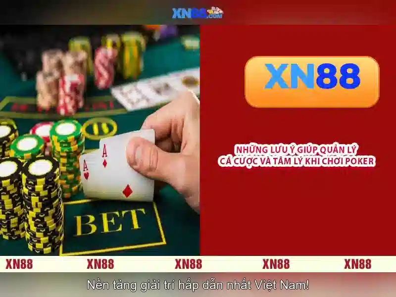 xn88 - Tổng quan về nền tảng và trải nghiệm người dùng