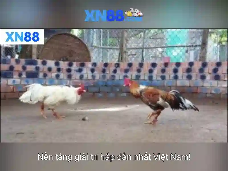 xn88: tổng quan về nền tảng trò chơi trực tuyến