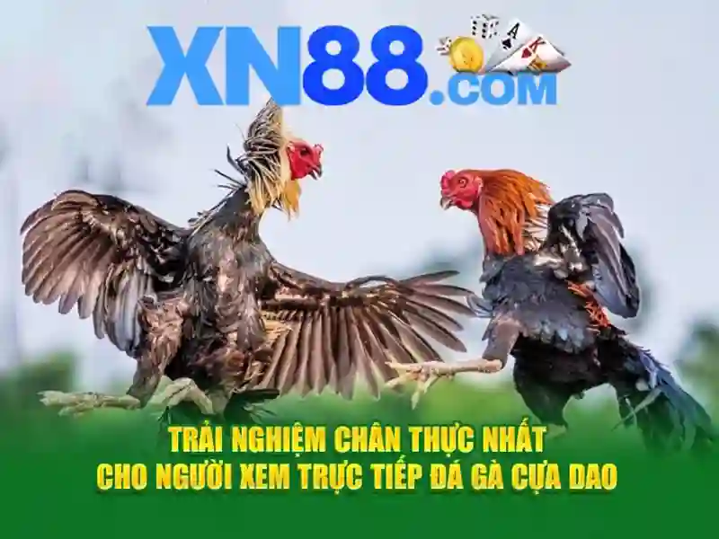 Bảng quy định về hạn mức và điều kiện rút tiền tại nhà cái XN88
